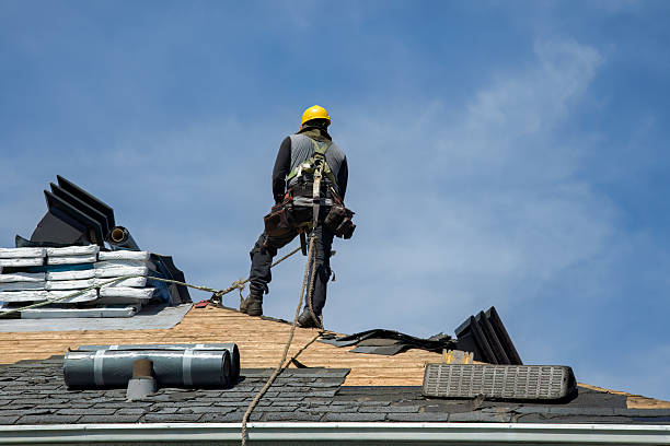 Professional Roof Installation technician working in Trenton, UT